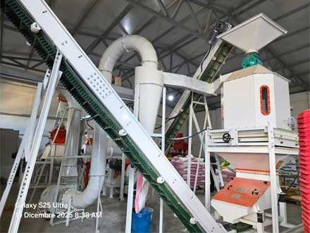 强福机械25型颗粒饲料线安装阿尔巴尼亚项目