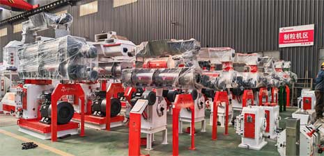 强福机械饲料设备工厂现货生产